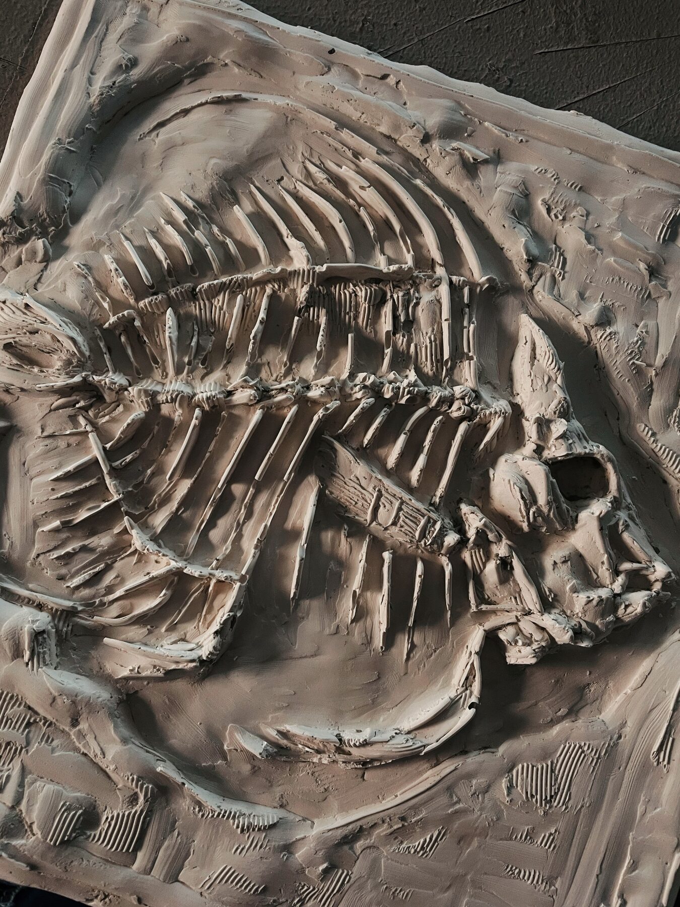 Tropical Fish Fossil